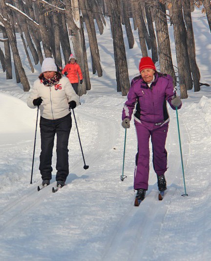 Семейные лыжные прогулки «Вставай на лыжи»