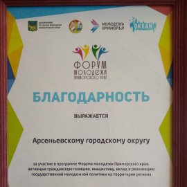 ​Представители молодежи Арсеньева приняли участие в пятом юбилейном форуме молодежи Приморского края 1